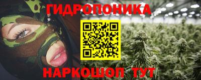бошки Гусев