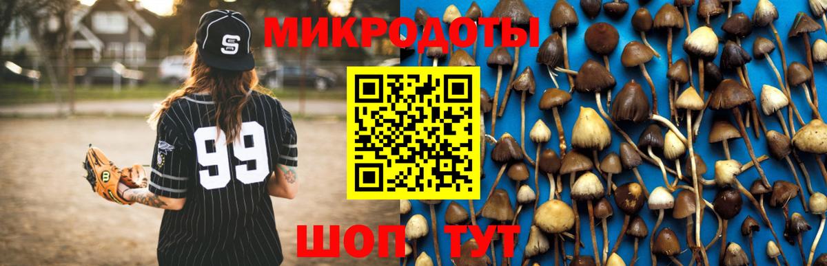 Губкинский  Галлюциногенные грибы Magic Shrooms  Вход с VPN 
