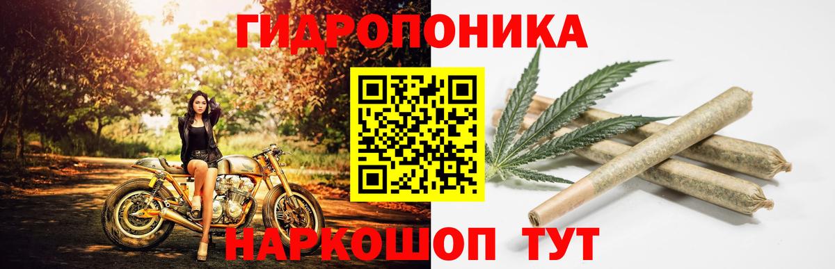 Бошки марихуана Ganja Губкинский